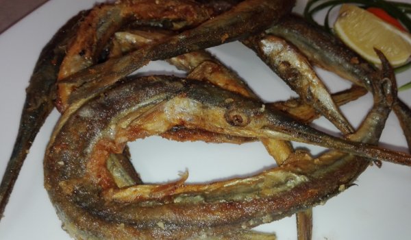 Черноморски зарган на тиган