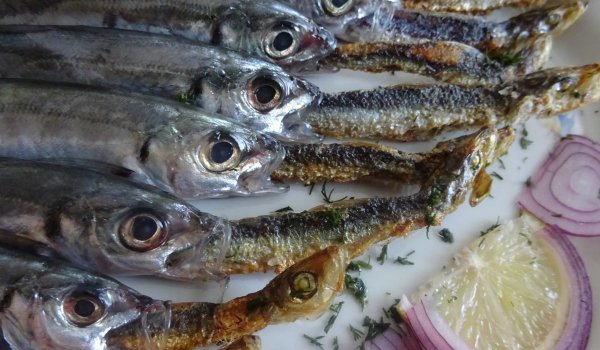 Черноморско мезе от чирози