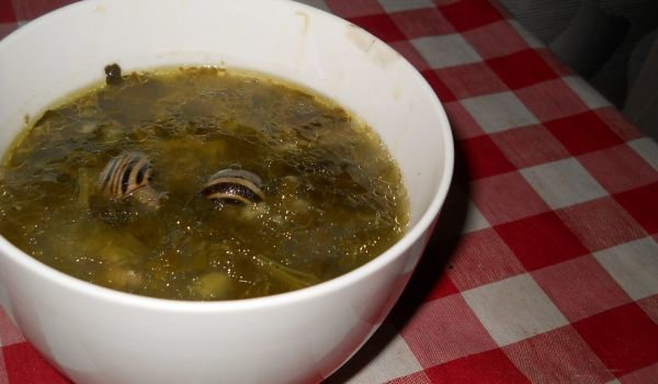 Чорба от охлюви и лапад