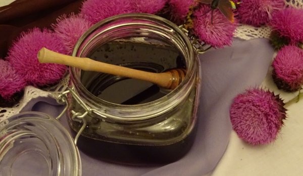 Чудодеен мед от магарешки трън