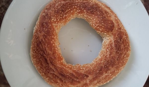 Домашни гевреци