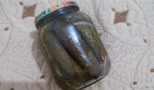Домашни консервирани корнишони