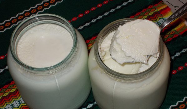 Домашно овче кисело мляко - Моята Рецепта
