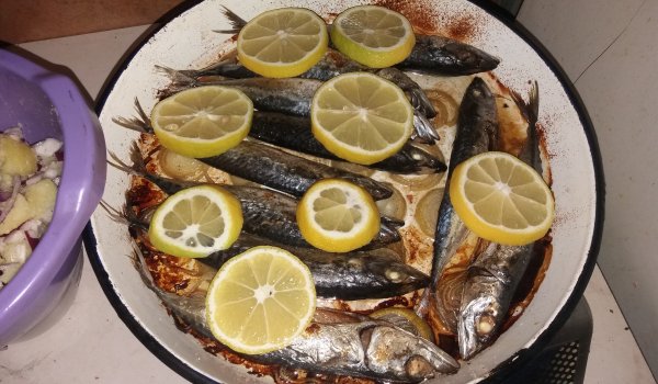 Дребна скумрия на фурна
