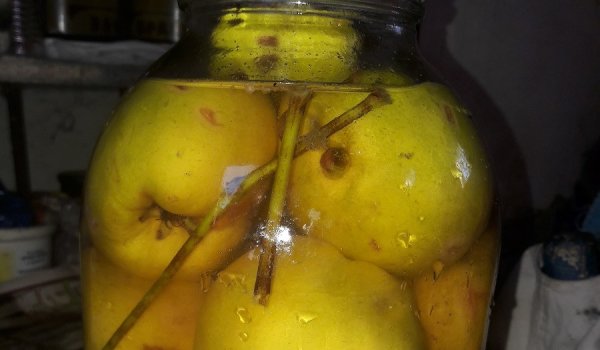 Кисели дюли