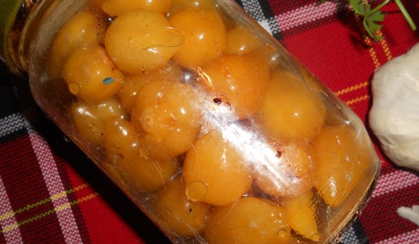 Кисели Джанки в Буркани