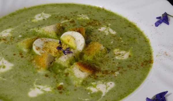 Кремсупа от киселец с крутони