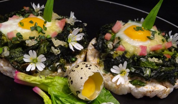 Лека и Лесна Лятна Вечеря