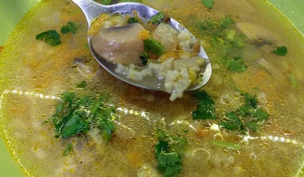 Лесна гъбена чорба с ориз