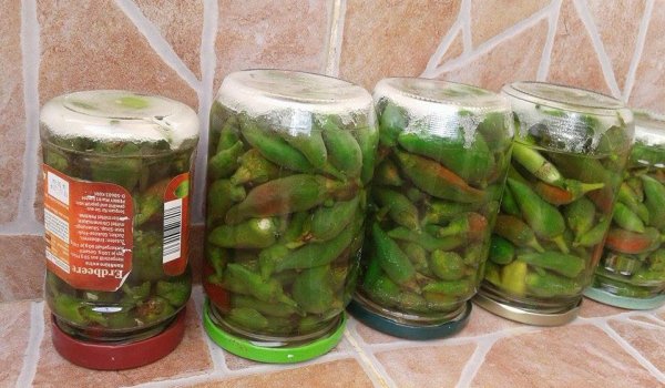 Люти чушки в слънчева марината