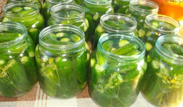 Мариновани корнишони с копър