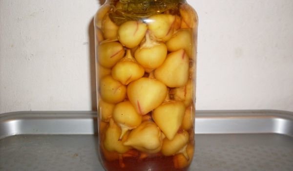 Мариновани шипки без варене