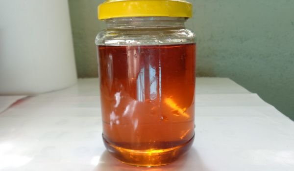 Мед от глухарчета