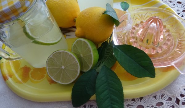 Ментова лимонада