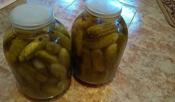 Най-лесната рецепта за краставички в трилитров буркан