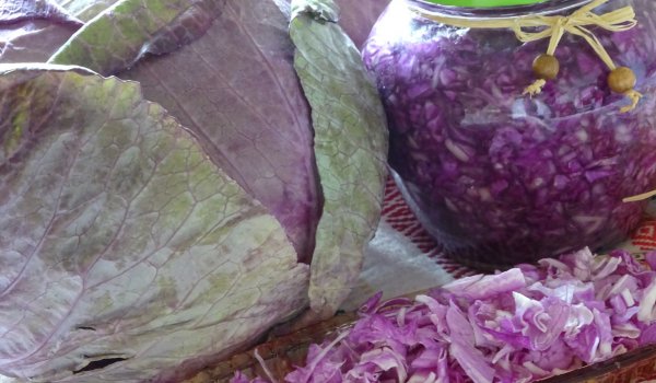 Нарязано наложено зеле в буркани