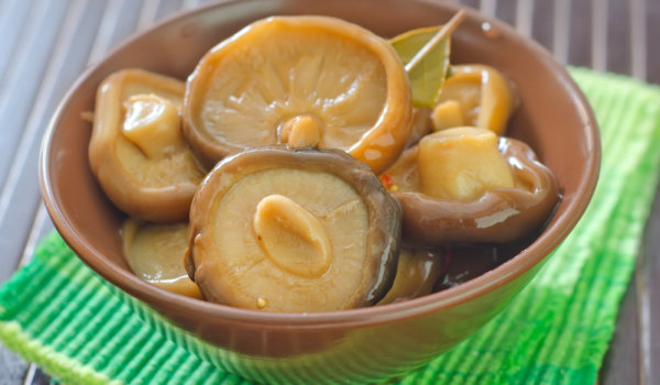 Нестерилизирана рижика