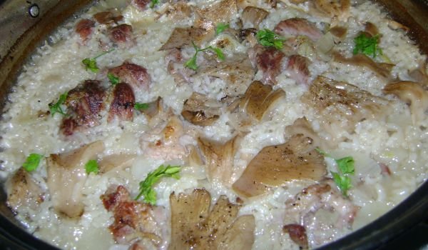 Ориз с джоланчета и кладница