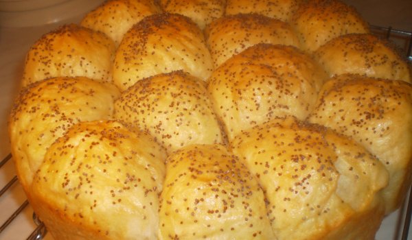 Памук погачата на Лора и Стоян