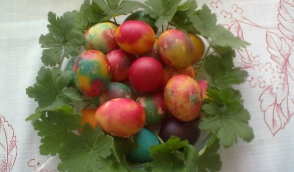 Памукови яйца