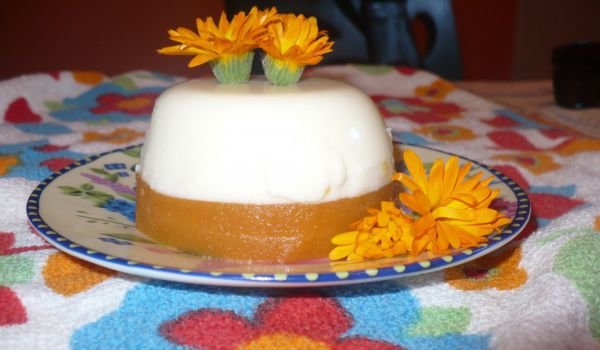 Панакота с кисело мляко и мус от кайсии