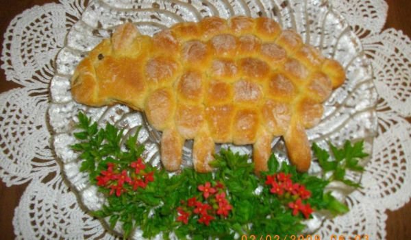 Питка Агънце