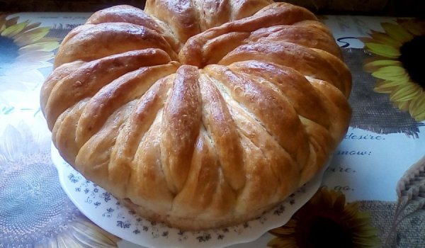 Питка за боляри