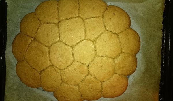 Питки от лимец