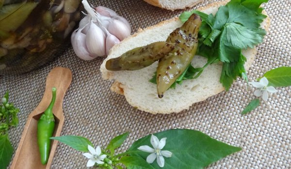 Пропукани чушлета в марината