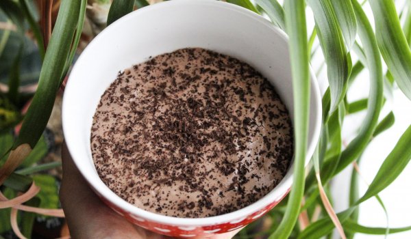 Протеинов шоколадов мус