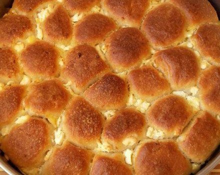 Пухкавите милинки на Рени