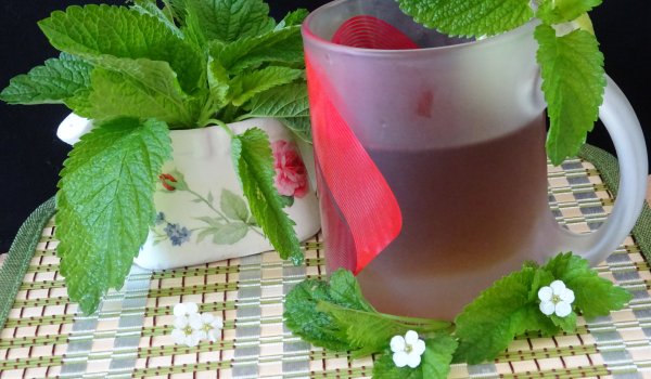 Релаксиращ чай от маточина