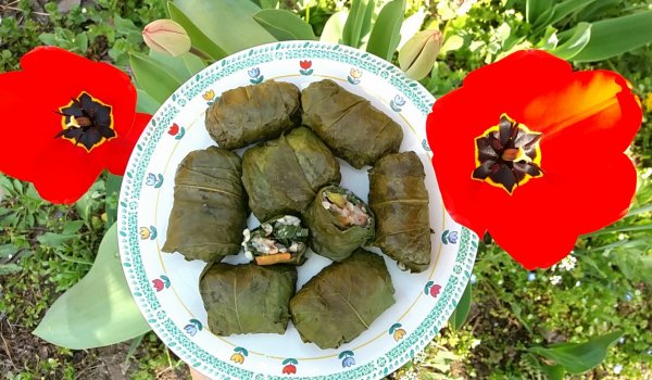 Руски сарми с елда в листа от лопуш