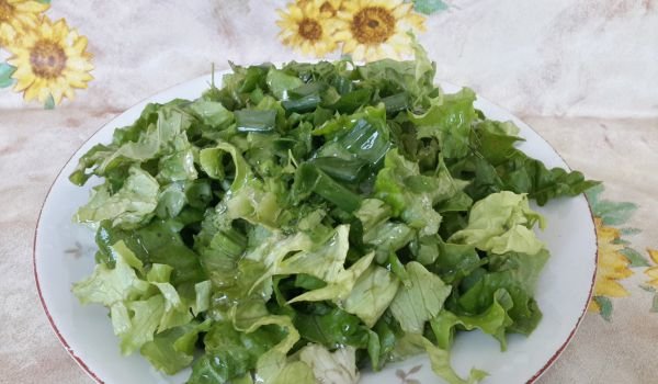 Салата от маруля