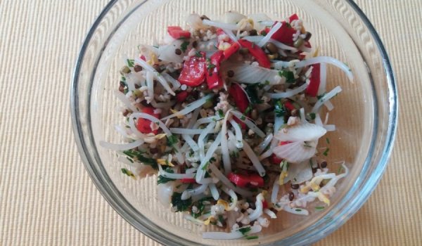 Салата от варива и кълнове