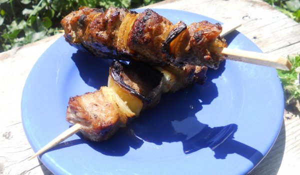 Шишчета с Агнешко по Ливански