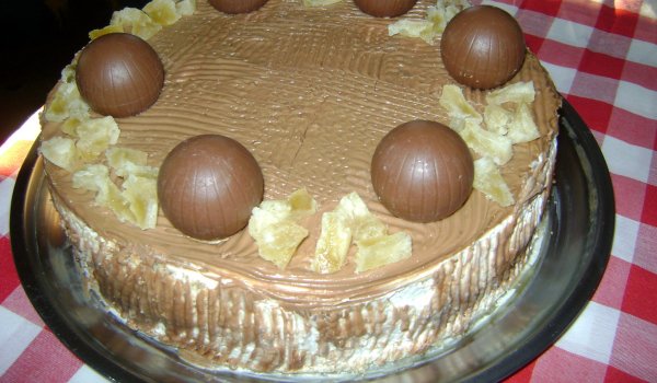 Шоколадова торта със сметана и сушени боровинки