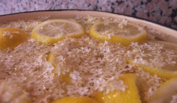 Швепс от бъз