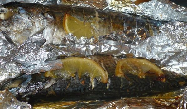 Скумрия по фламандски