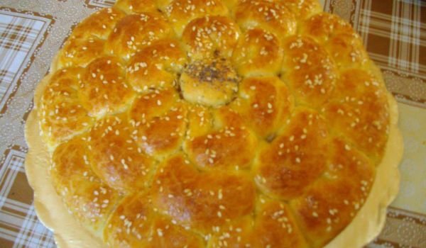 Сладка пита хризантема