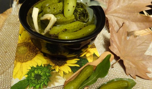 Солени краставички с хрян в каче