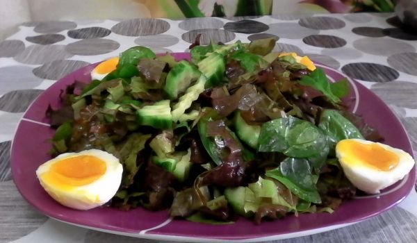 Свежа зелена салата за двама