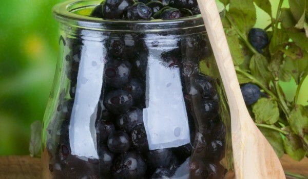 Туршия от боровинки