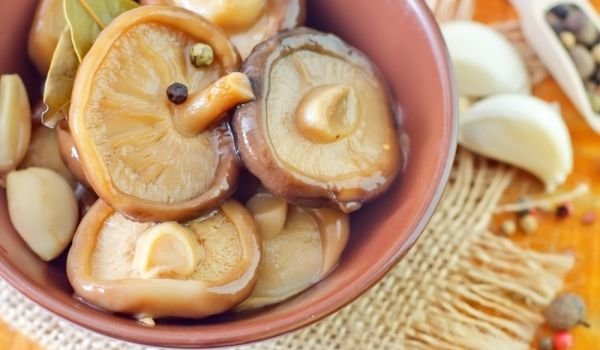 Туршия от рижики