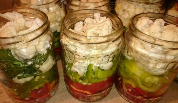 Туршия Трикольор с Пикант фикс