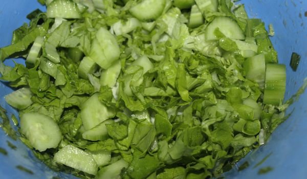 Зелена салата с краставица