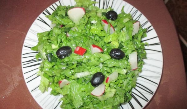Зелена салата с репички и маруля